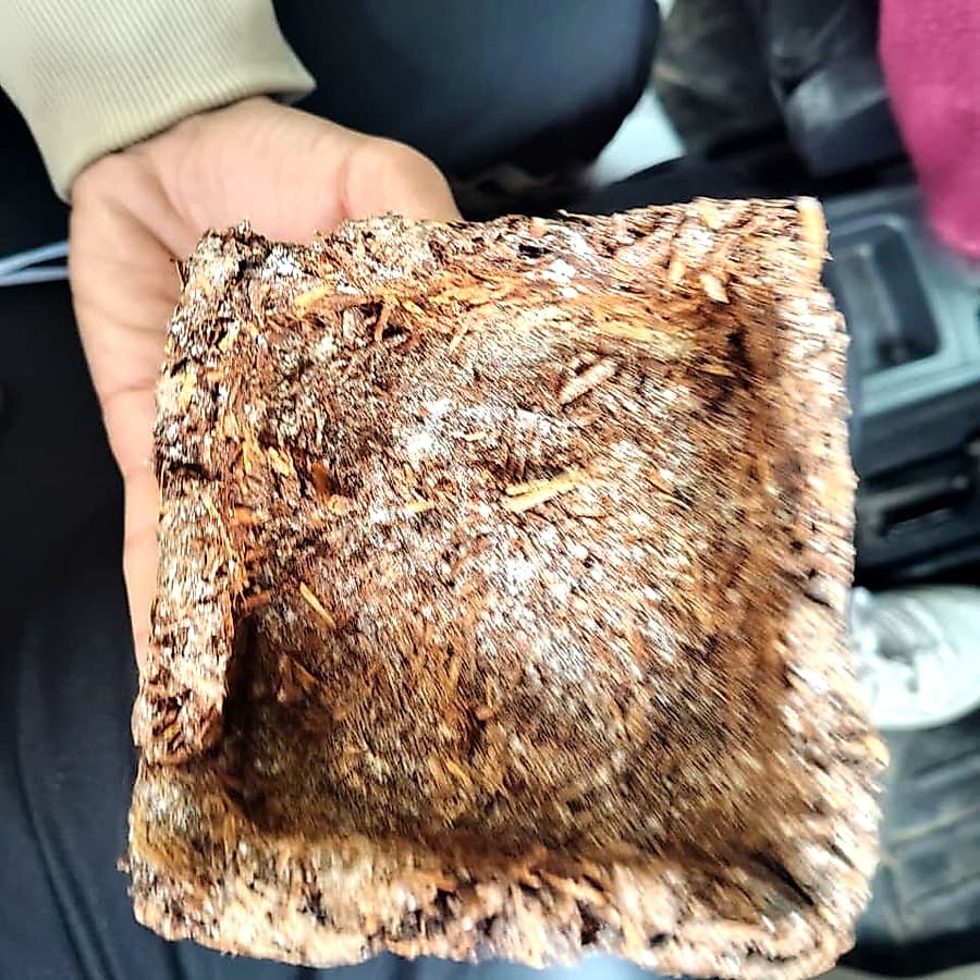 Thermo-Mool biodegradable block